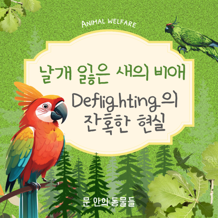  날개 잃은 새의 비애 - deflighting의 잔혹한 현실