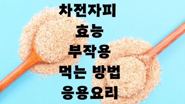  차전자피 부작용9가지 효능 먹는 방법 응용 요리6