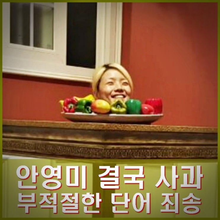 <b>안영미 사과</b> 라디오 생방송 욕설 부적절한 단어 죄송.