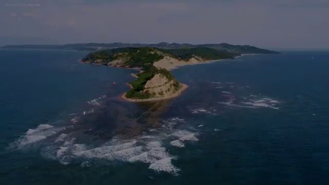  학점은행제 학습플래너 , 학점은행제 플래너 꼭 활용하세요 . 비용절감 기간 단축 전략 공유드립니다