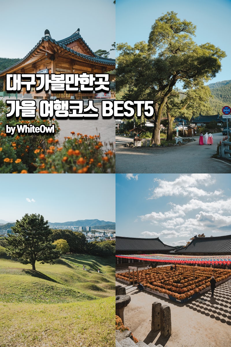 사진 3