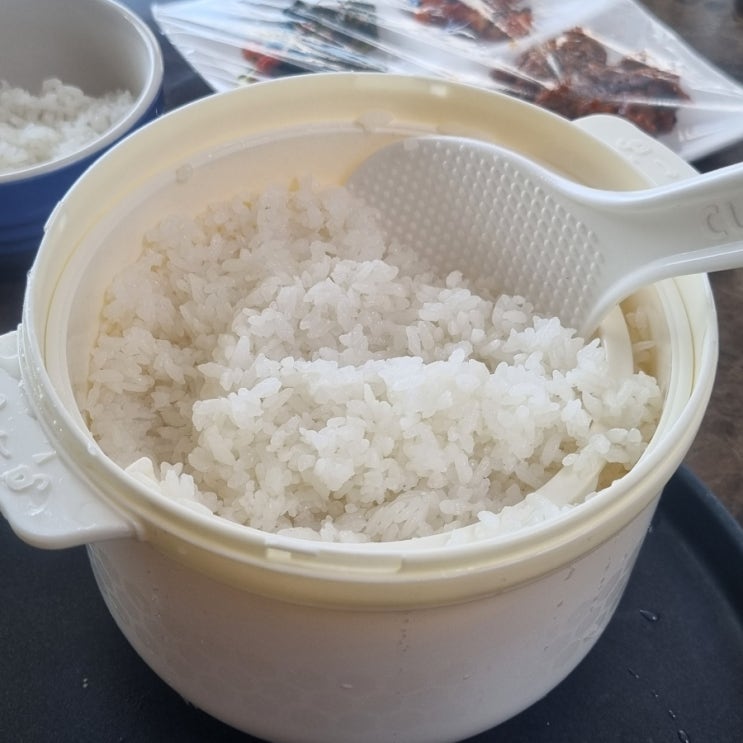  쿡셀 제퍼볼로 건강하고 간편한 저당밥짓기 성공
