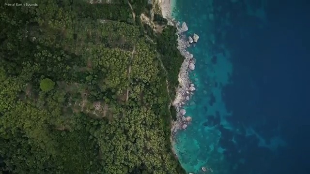  아파트 경매 확인 , 부동산권리분석사 한달 만에 취득한 노하우