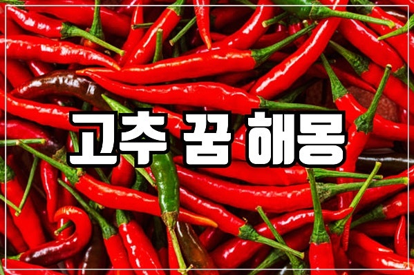 고추 꿈 해몽 고추밭이 나오는 꿈 고추를 먹는 꿈 보는 꿈 고추 따는 꿈 등 고추 관련 꿈해몽