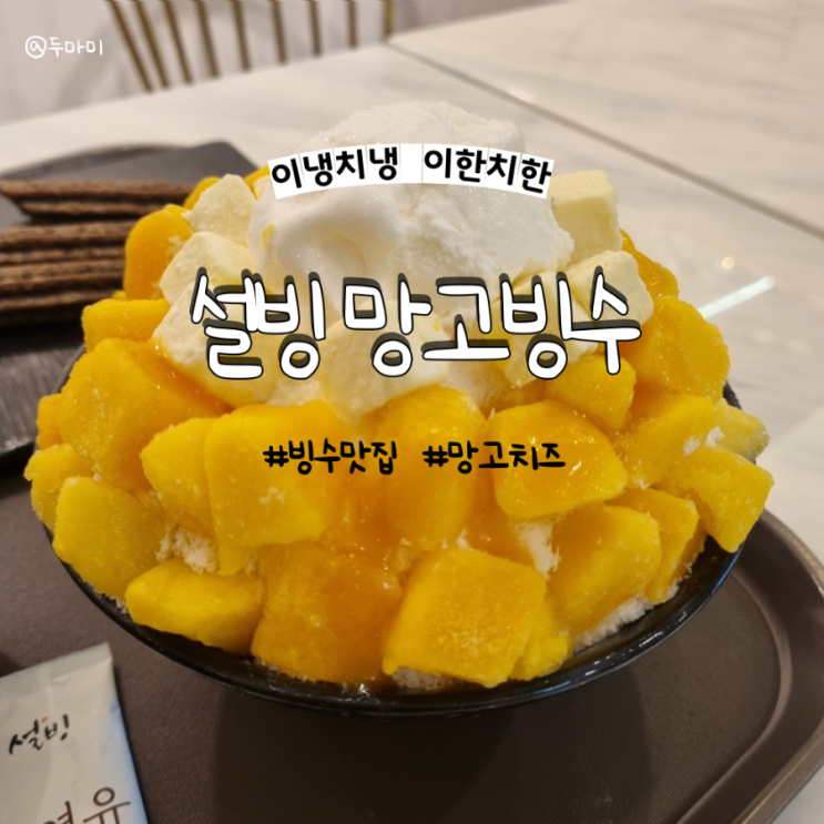  설빙 망고빙수 후기