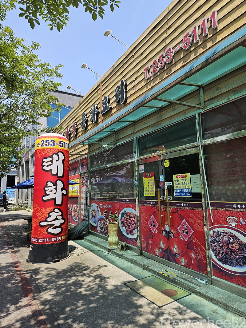 태화춘 사진 1