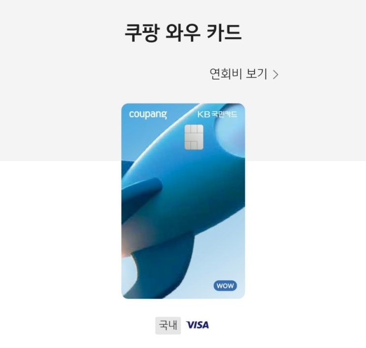 KB 쿠팡 와우 카드 전월실적 없이 캐시 적립 카드 알아보기