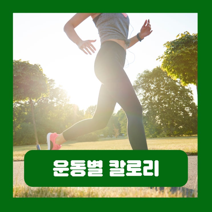  운동별 칼로리 소모량 걷기 달리기 수영 등산 자전거