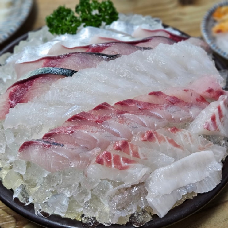  제주 서귀포 올레시장 가성비 좋은 서귀동횟집 소린이네횟집