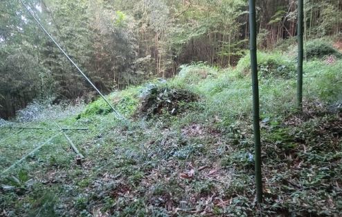  집안에 중병이나 우환이 계속 발생하면 조상묘지 살펴봐야...("울산벌초대행")