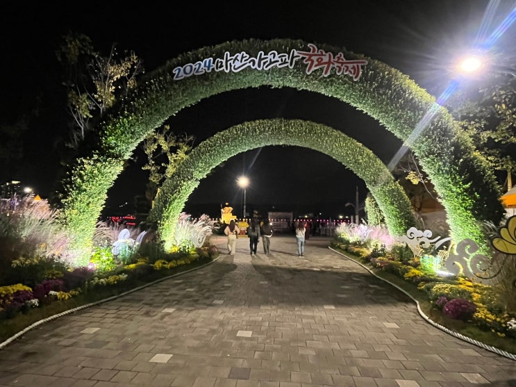  퇴근 후 밤에 가본 2024 마산 가고파 국화축제
