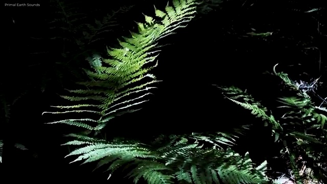  독서지도사 자격증 비용 , 독서지도사 자격증 응시자격 없이 취득한 방법 및 취업 전망