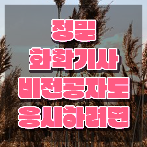  정밀화학기사 자격요건 정밀화학기사 자격요건 인강만 듣고 단기간에 끝낸 후기