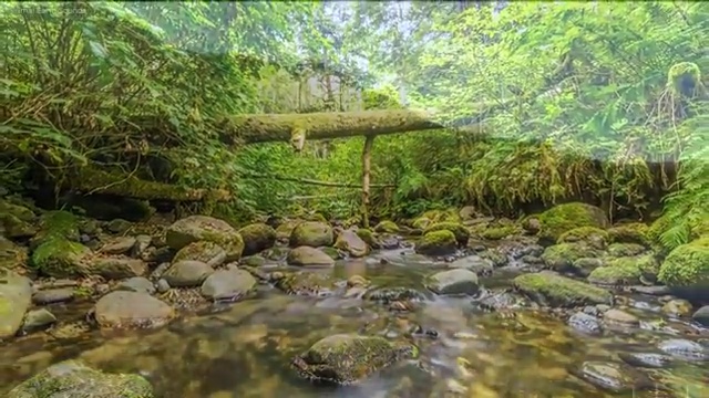  부동산 권리분석사1급 , 부동산권리분석사 취득한 과정 및 학습방법