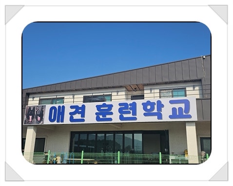 사진 3