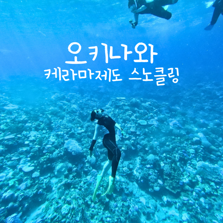  일본 오키나와 10편 : 동남아 저리가는 필수코스 케라마제도 스노클링 종일 투어 추천