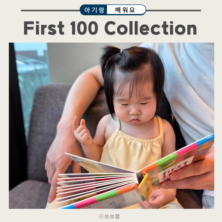  First 100 Collection 프리디북스 아기 첫 영어 사전 보드북 한달 사용 후기