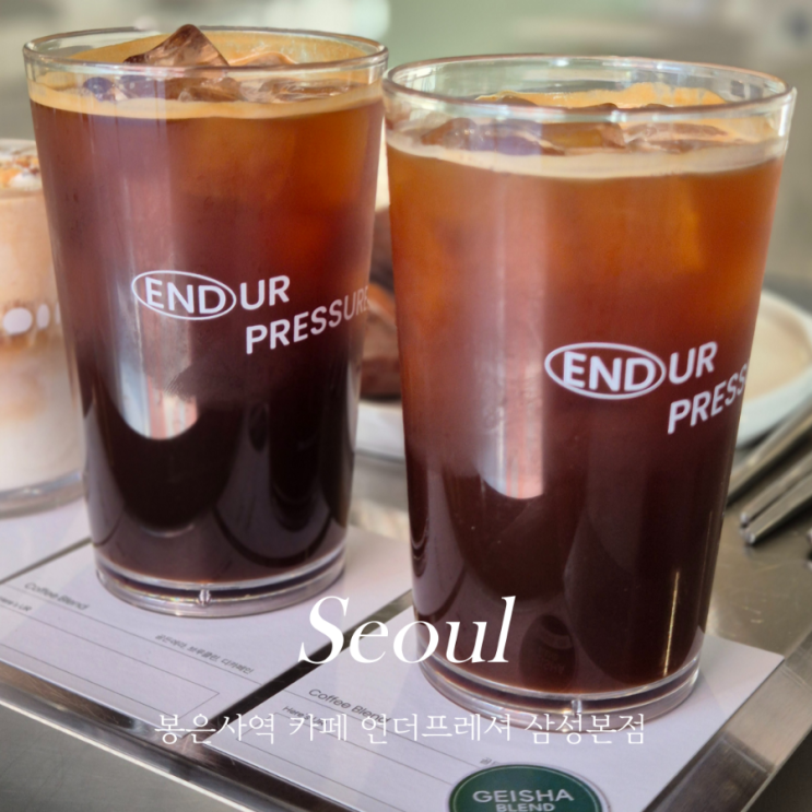 봉은사역 카페 언더프레셔 삼성본점 애견동반 카페
