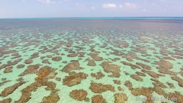  병원코디네이터시험기출문제 , 병원코디네이터 자격증 2주 만에 합격한 전략 공유드려요