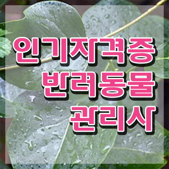  반려동물관리사 시험 , 반려동물관리사 자격증 취득한 과정 요약해봤어요