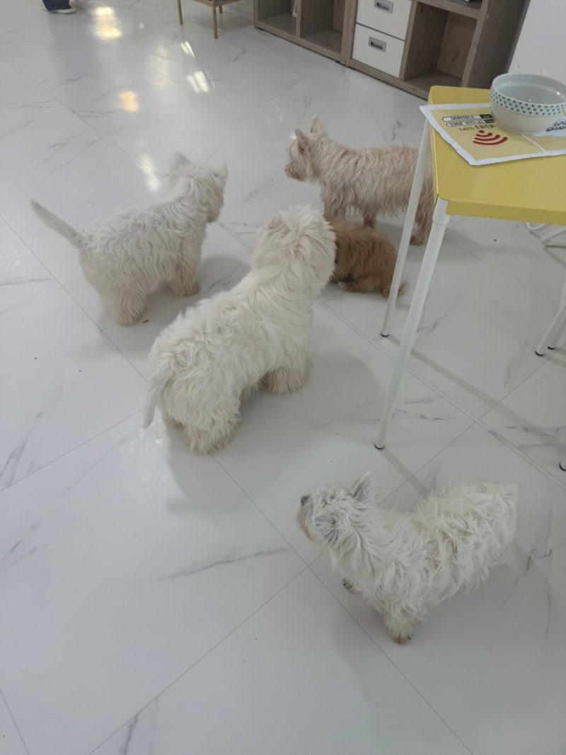 사진 2