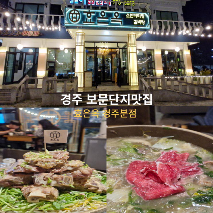  경주 보문 단지 맛집 효은옥경주분점 실내 애견 동반 가능
