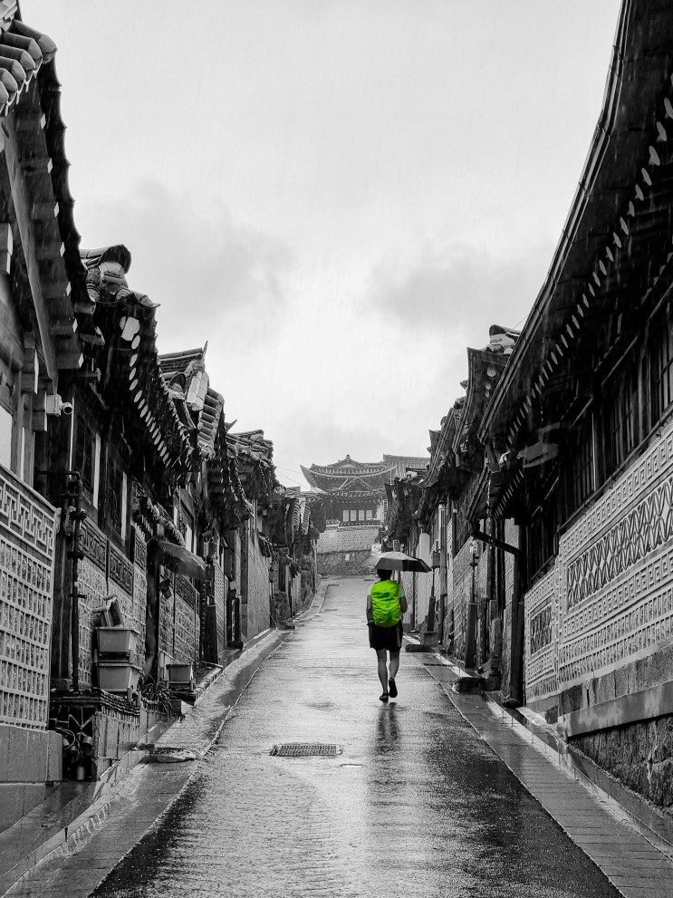  2022 제 1회 K-세미오시스 골목 사진공모전 (입선)