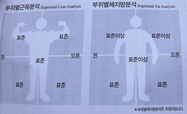  2024년 10월 운동일기