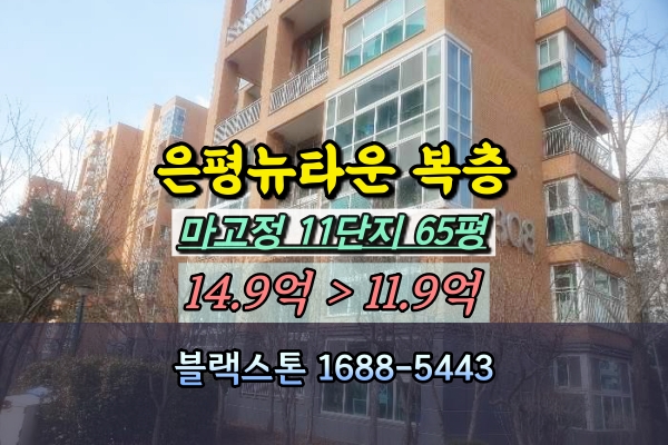  은평뉴타운마고정 11단지 복층 65평 경매