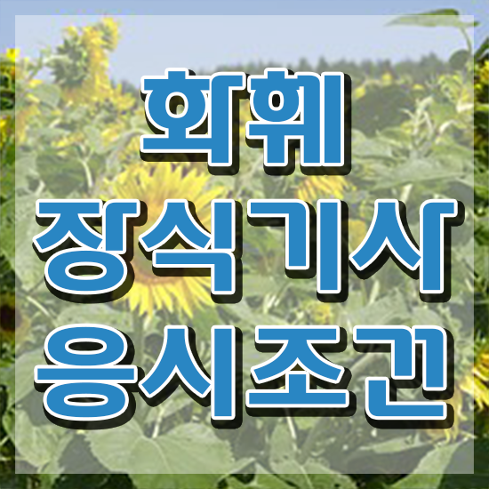  화훼장식기사 자격요건 온라인 수업으로 간편하게 성공한 전략