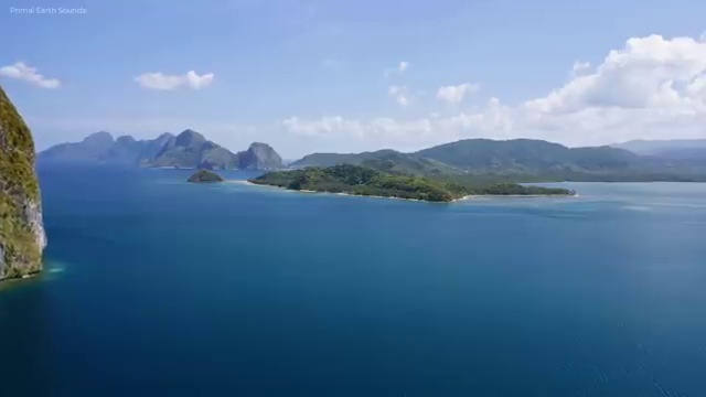  병원코디네이터 자격증 후기 , 병원코디네이터 자격증 단기간에 취득한 노하우 , 활용 방법