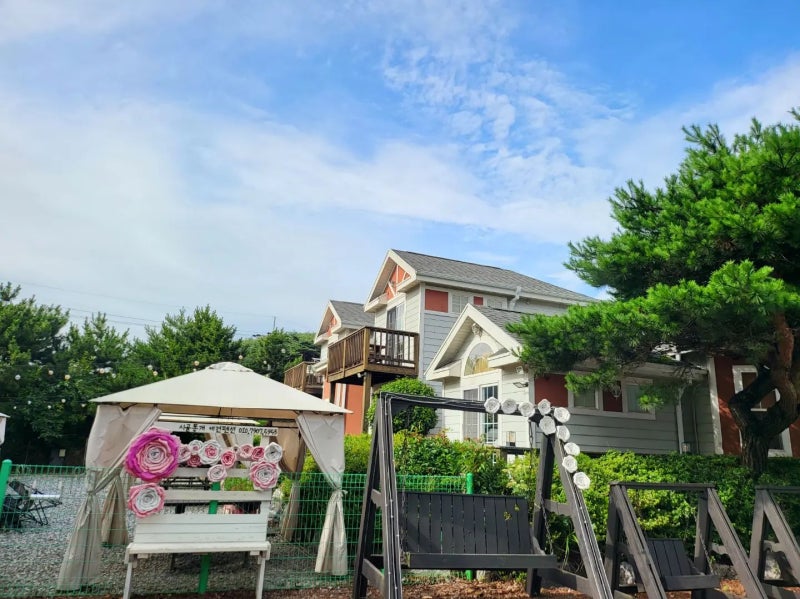 사진 8