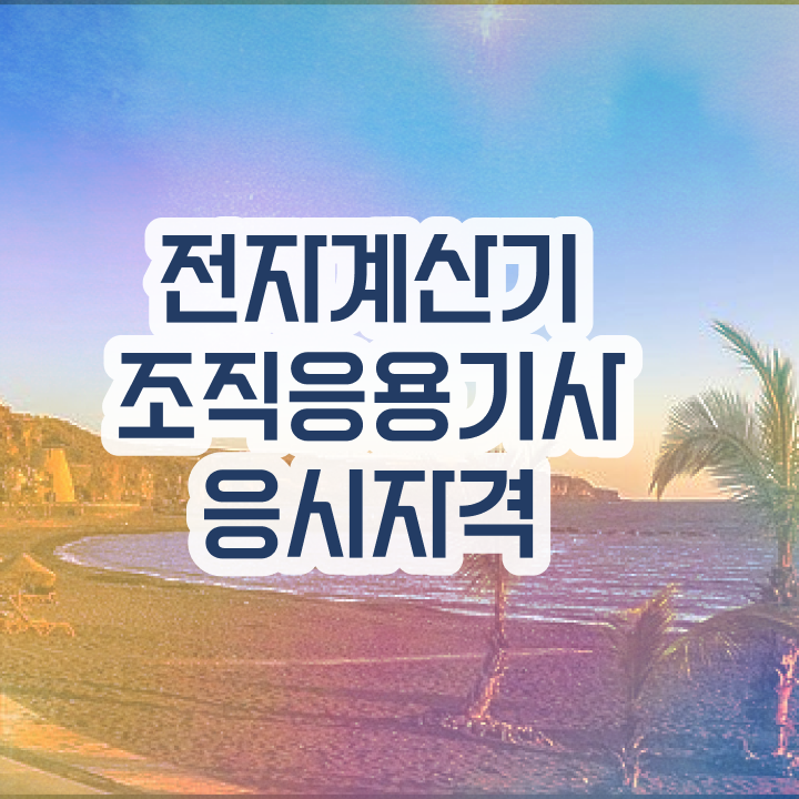  전자계산기조직응용기사 시험응시자격 인강만 듣고 편하게 완료한 비법