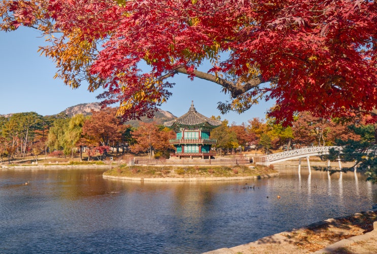  향원정의 사계(四季)