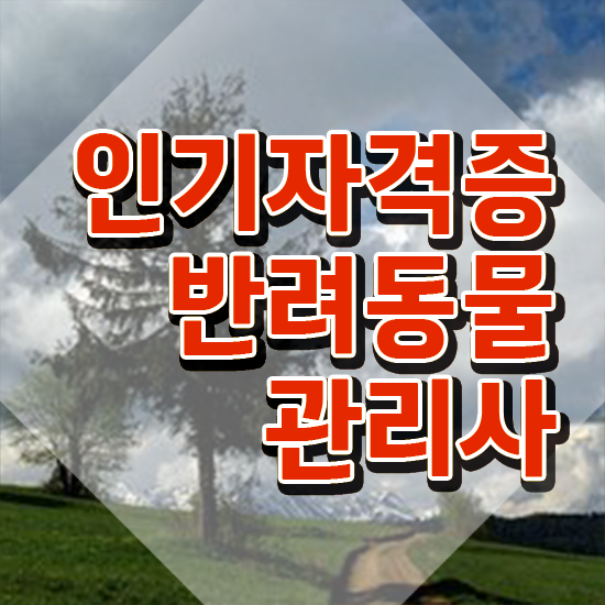  반려동물관리사 취업 , 반려동물관리사 자격증 독학으로 취득한 노하우 공유드려요