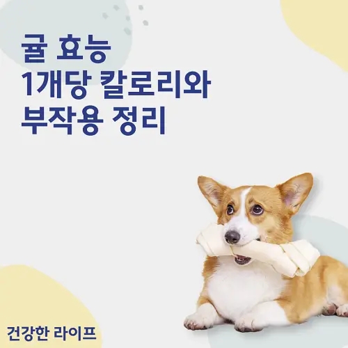  귤 효능, 1개당 칼로리와 부작용 정리