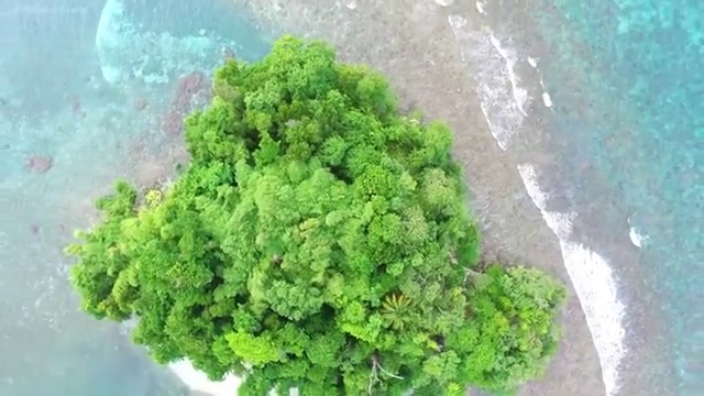  병원서비스총괄매니저 학점은행 , 병원서비스총괄매니저 자격증 합격한 비법 소개합니다
