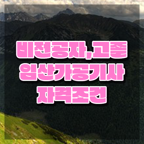  임산가공기사 임산가공기사 시험응시조건 온라인 과정으로 간단하게 완료한 방법