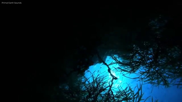  청년무료심리상담 , 심리상담사 자격증 쉽고 간편하게 합격한 팁 , 채용 정보