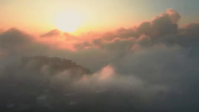  오산 강아지 훈련사 반려견운동지도사 쉽고 빠르게 취득방법