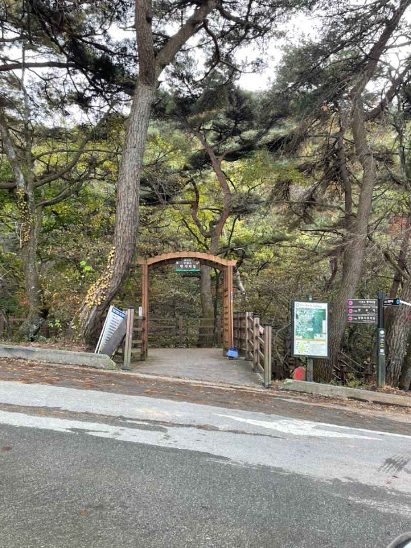 사진 5