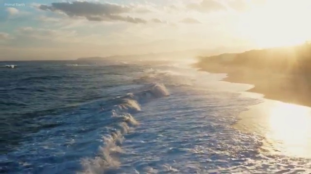  반려동물 생활관리사 , 반려동물관리사 자격증 단기간에 학습한 후기 핵심 정보 정리