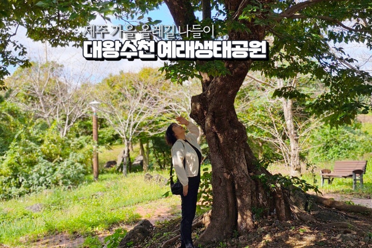  가을 주말 나들이 11월 제주 올레길 예래생태공원