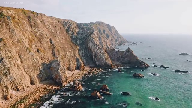  반려견운동지도사 클래스 , 반려견운동지도사 합격 전략 , 향후 전망