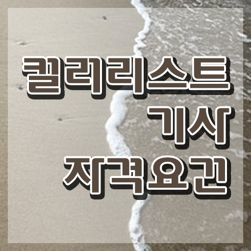  컬러리스트기사 컬러리스트기사 시험응시조건 인강만 듣고 쉽고 빠르게 준비한 과정