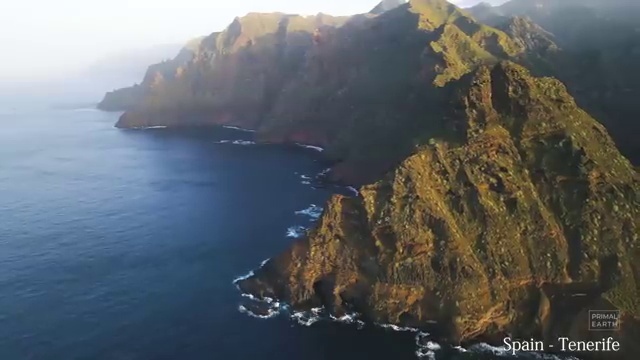  부동산 경매 권리분석 , 온라인으로 간단히 부동산권리분석사자격증 합격 비법
