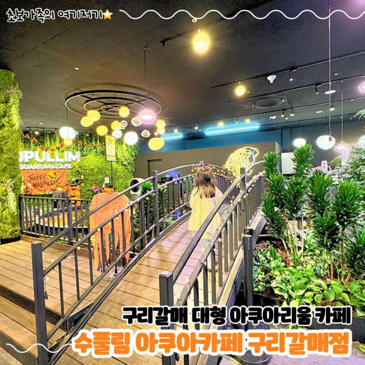  구리 아이랑 가기 좋은 대형 아쿠아리움 카페 _ 수풀림 아쿠아카페 구리갈매점(물고기 먹이주기)