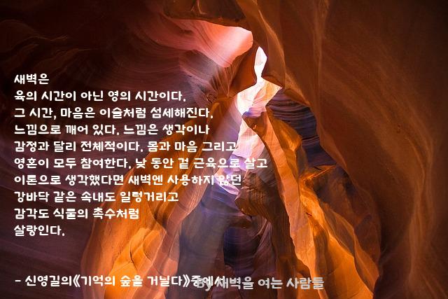 새벽 새벽