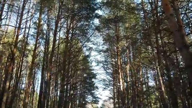  재난안전지도사자격증 , 안전지도사 자격증 취득한 과정 여기만 보세요