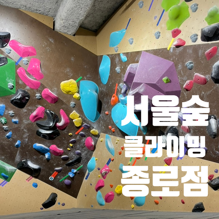  서울 종로 놀거리 서울숲 클라이밍 방문 후기 난이도 및 가격